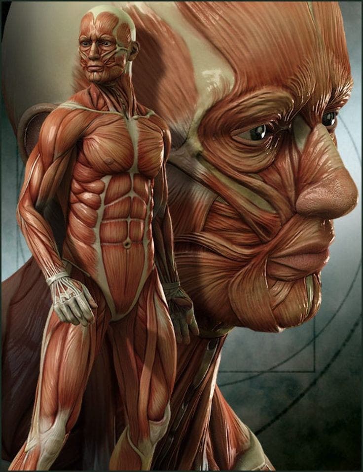 Build With Live Book Cover